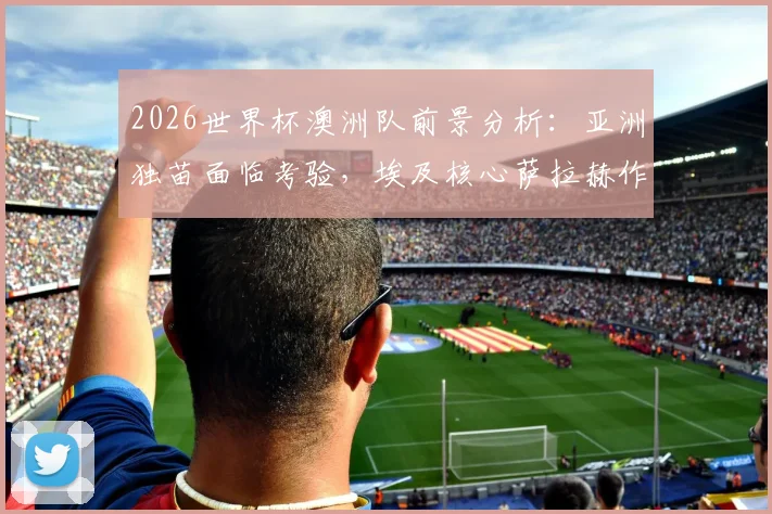 2026世界杯澳洲队前景分析：亚洲独苗面临考验，埃及核心萨拉赫作用几何？
