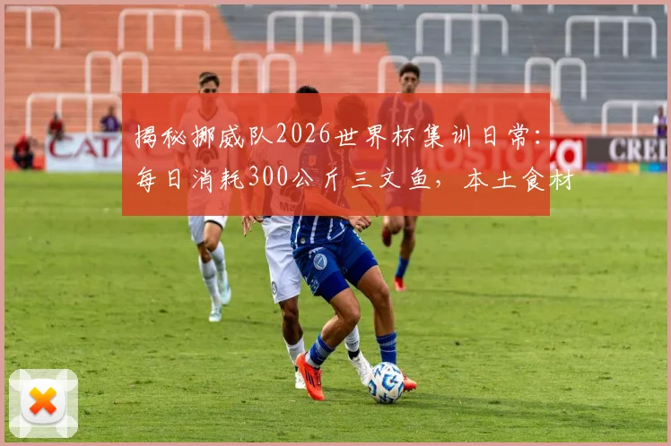 揭秘挪威队2026世界杯集训日常：每日消耗300公斤三文鱼，本土食材如何助力球员巅峰状态？