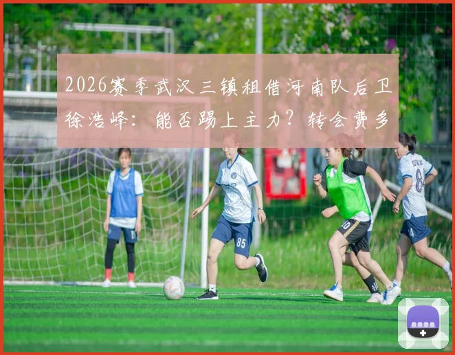 2026赛季武汉三镇租借河南队后卫徐浩峰:能否踢上主力?转会费多少?河南队后防空缺谁来补?